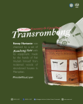 Transrombong